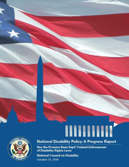 U.S. flag background with silhouette of capital buildings in blue. NCD seal below with title of report.